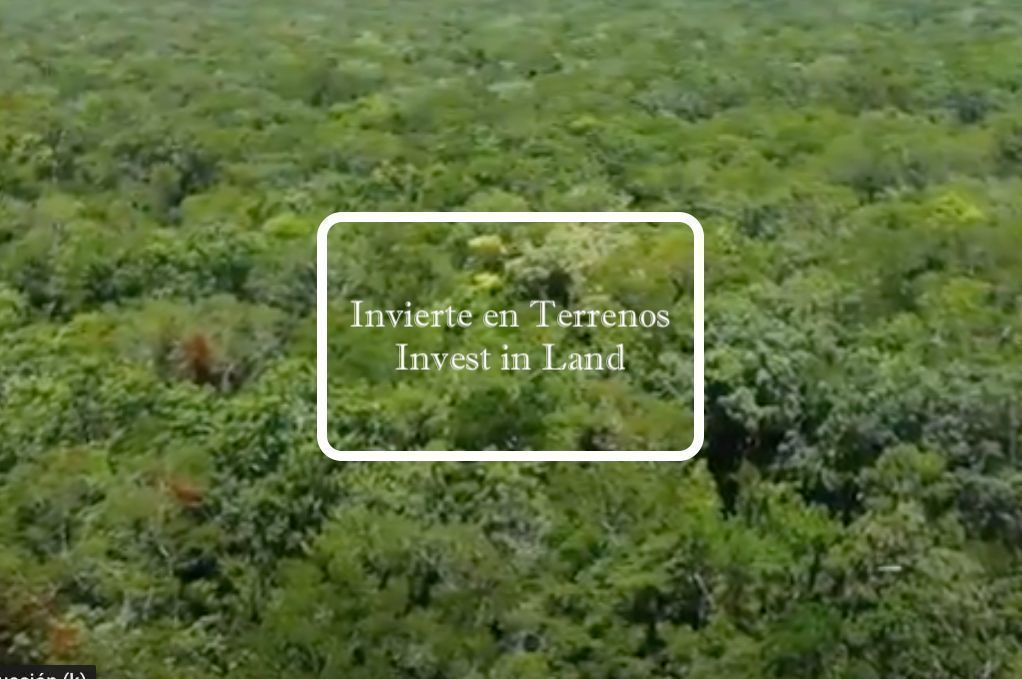 Terreno multifamiliar en venta en Tulum, Region 10.