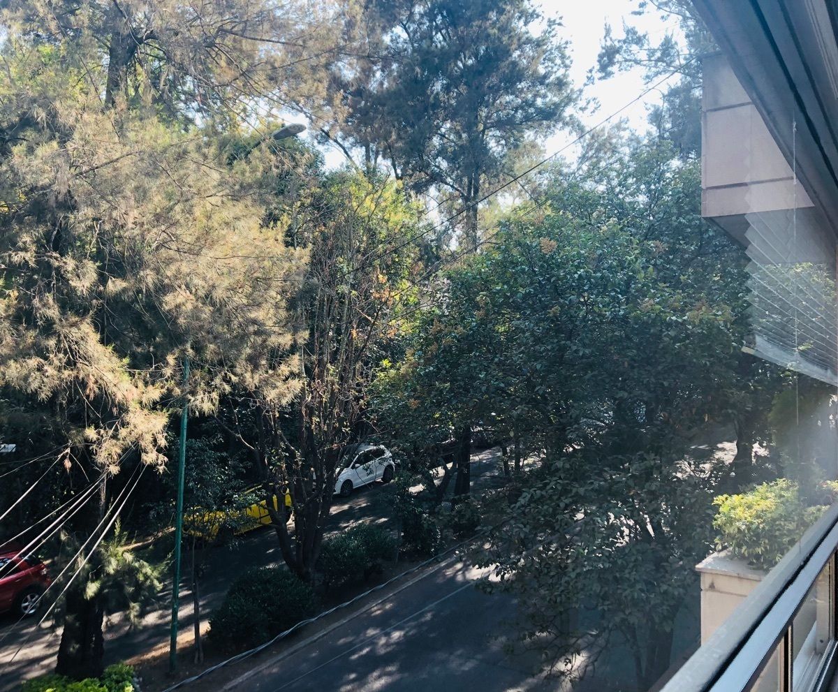 29 de 29