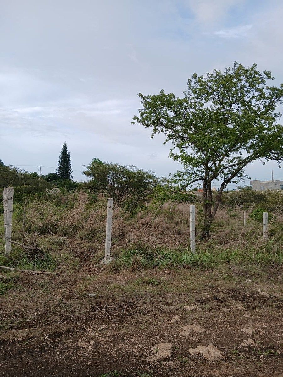 TERRENO À VENDA EM LINDA VISTA BERRIOZABAL, foto 1 de 11