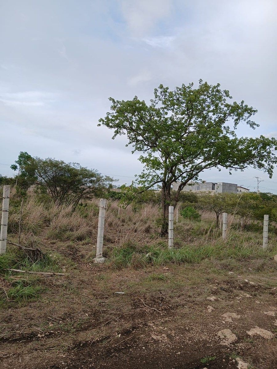 Lote em Linda Vista, Berriozábal, foto 2 de 11