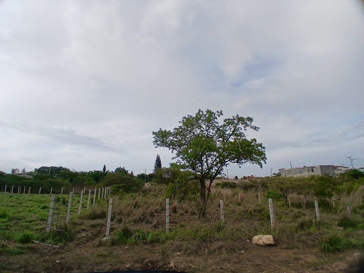 Lote em Linda Vista, Berriozábal, foto 6 de 11
