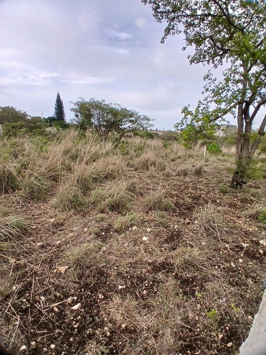 Lote em Linda Vista, Berriozábal, foto 5 de 11