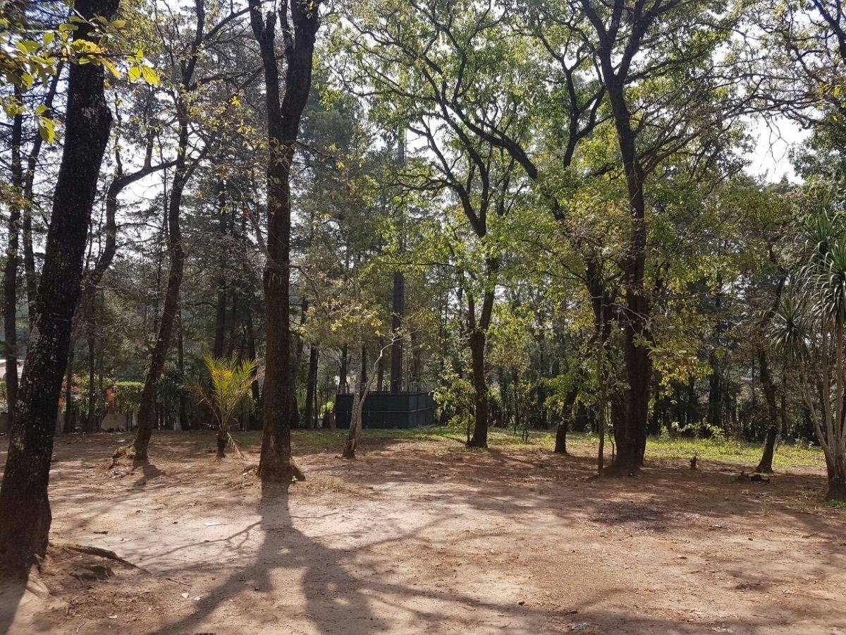 5 de 15