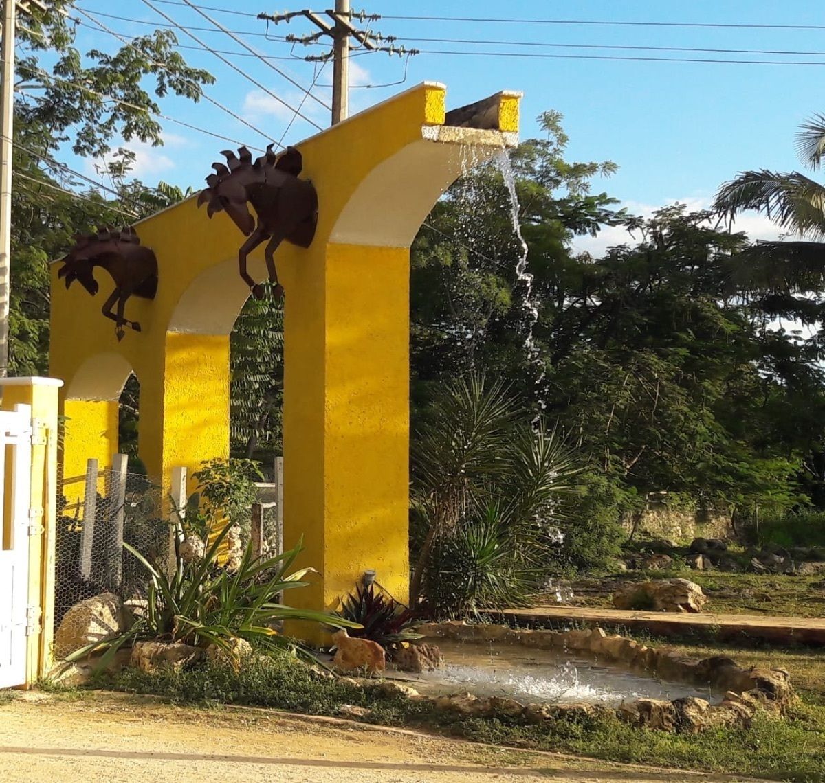 11 de 31: Entrada de la Finca
