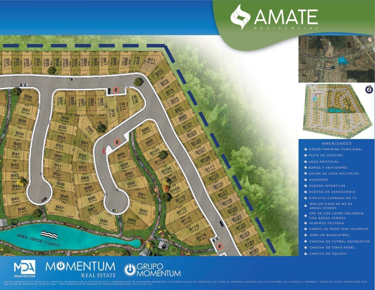 2 de 5: Master plan