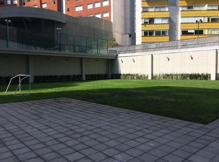 11 de 26
