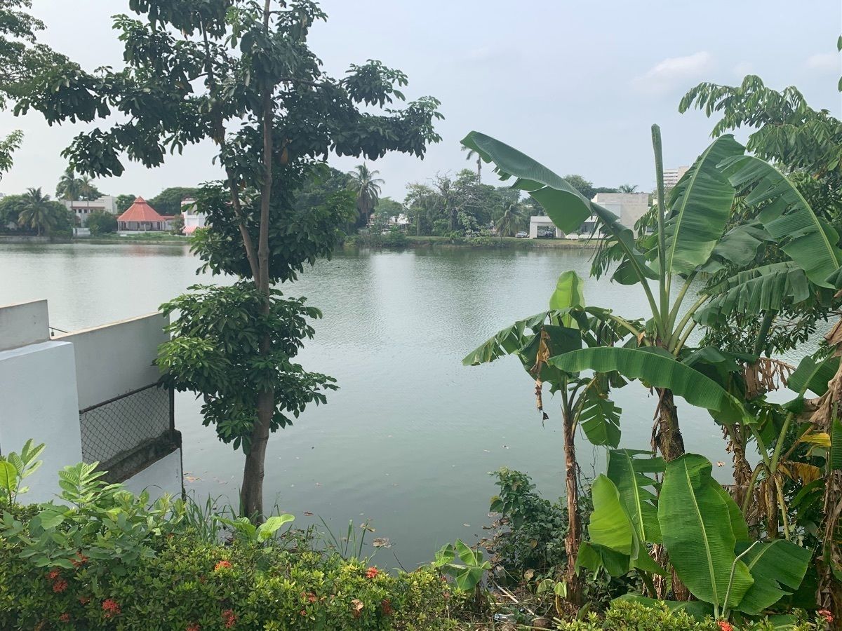 3 de 10: Vista ala Laguna 