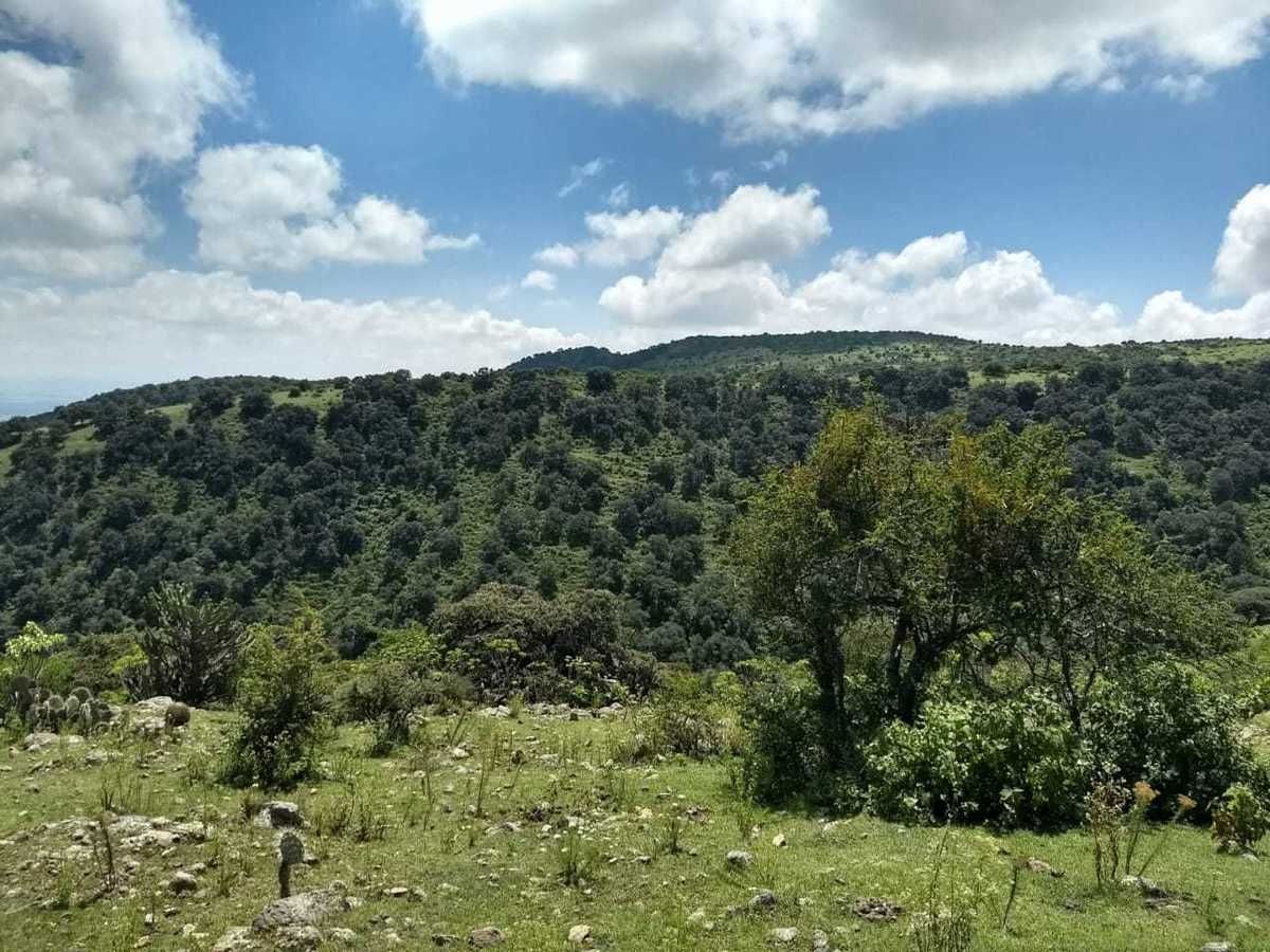 4 de 14