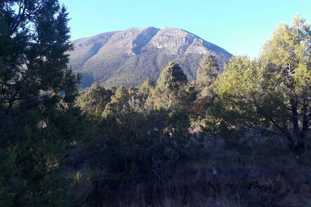 Terreno campestre en VENTA sobre la carretera a Los Lirios.