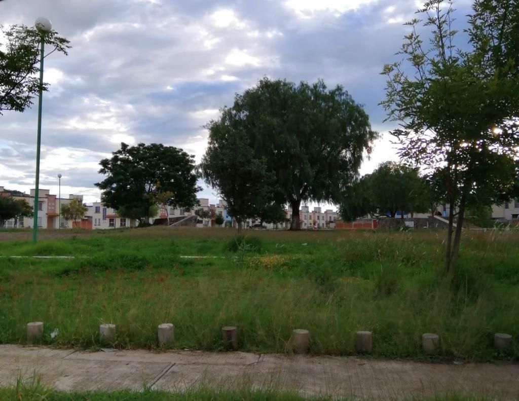 3 de 10