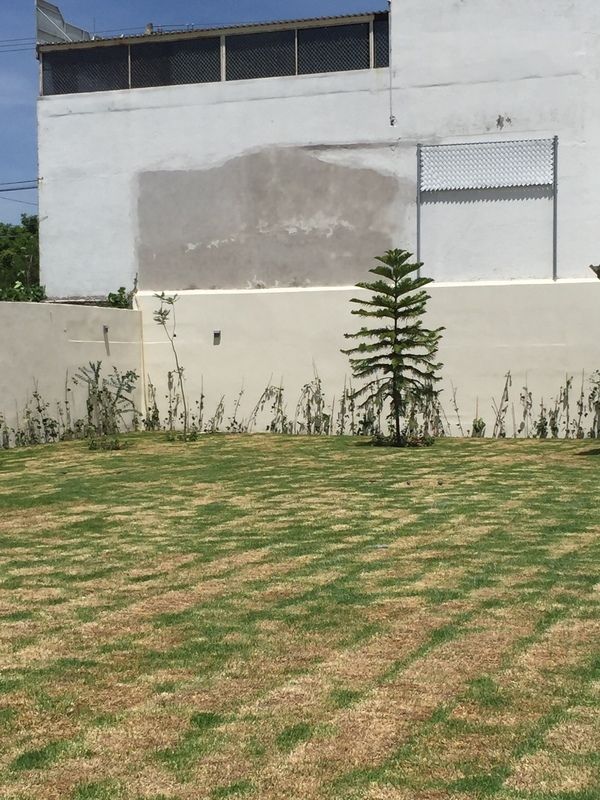 9 de 28