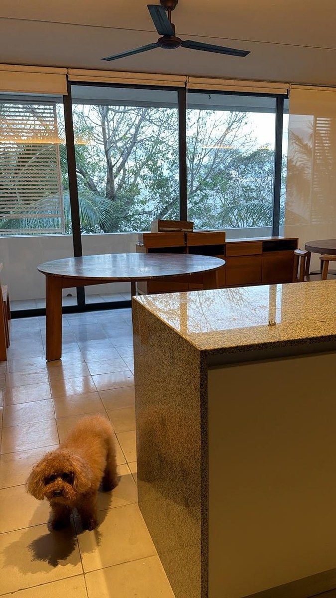 4 de 17: Departamento amueblado en renta Residencial Palmaris Cancun