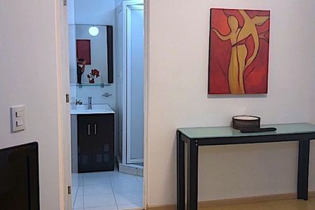 RENTA DEP.AMUEBLADO. POLANCO BAJA DE PRECIO