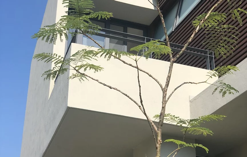 2 de 16: Casa venta Puerta Aqua Zona Andares Puerta de Hierro Zapopan