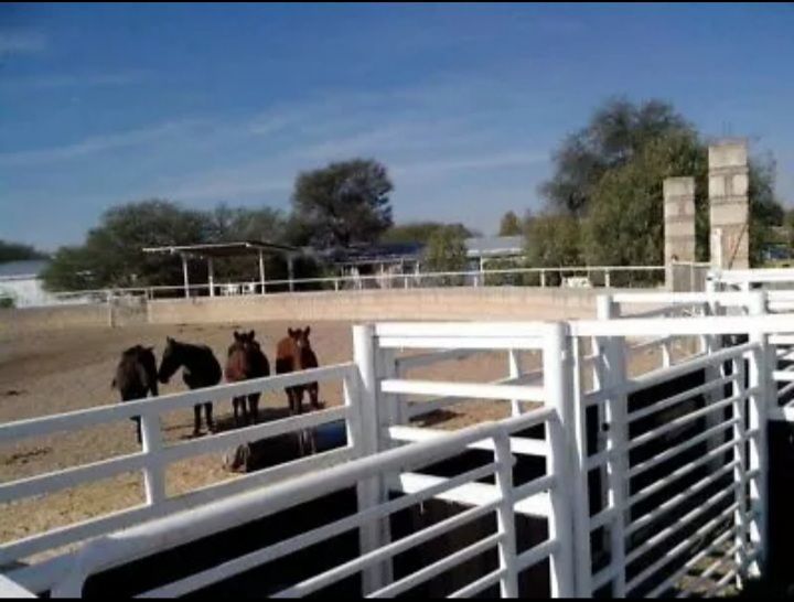 EXCELENTE RANCHO EN VENTA EN AGUASCALIENTES CON LIENZO A 10 MINUTOS DEL AEROPUE
