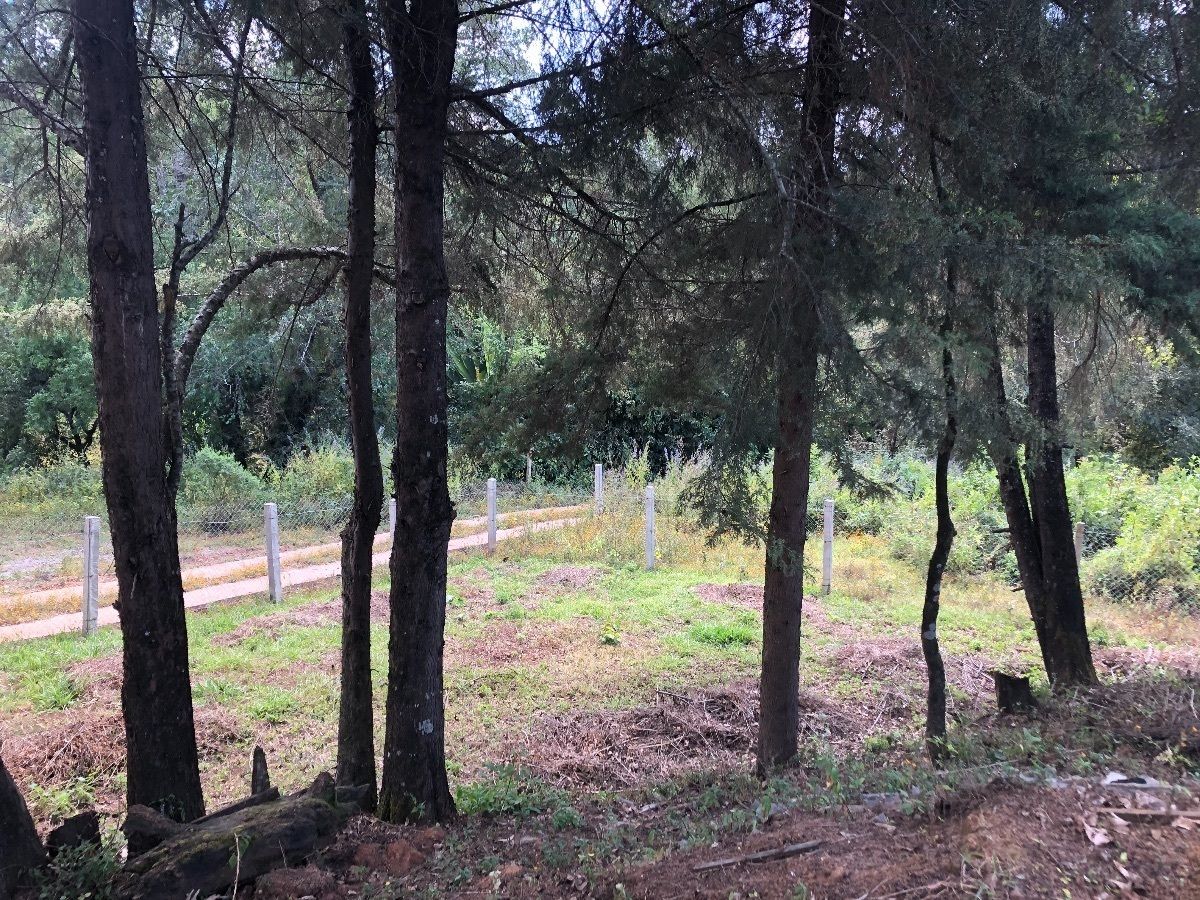 10 de 10