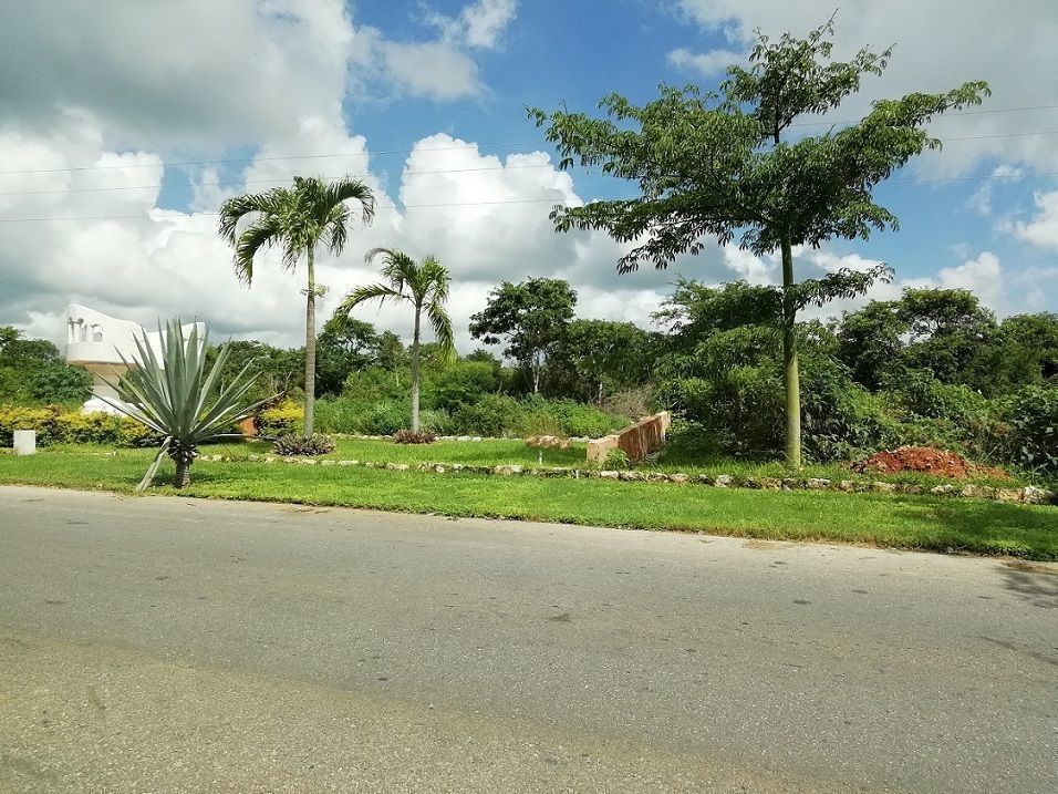 12 de 30