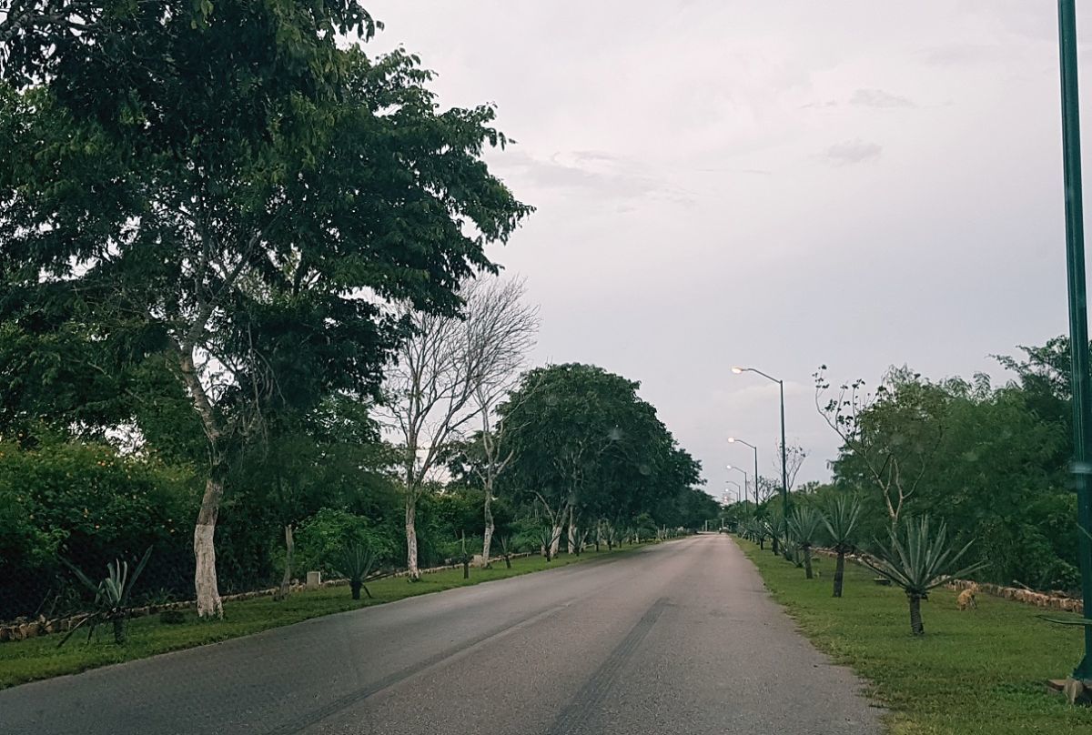 22 de 30
