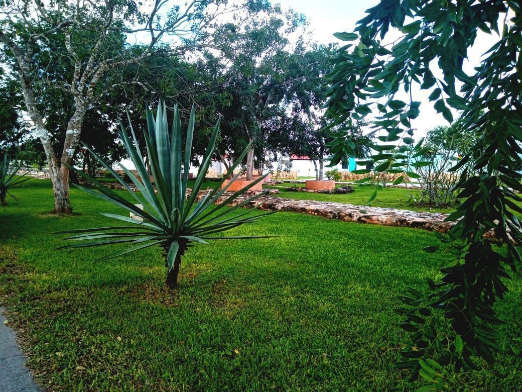 6 de 30