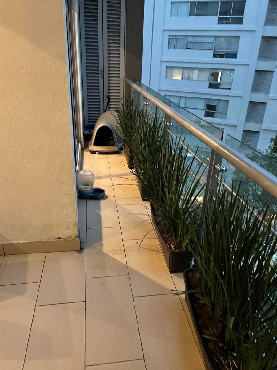 28 de 28: Balcón terraza 