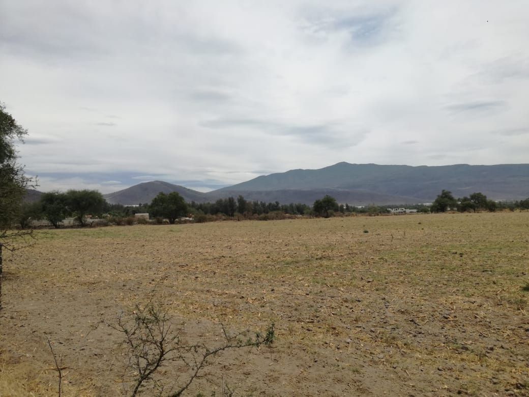 excelente terreno rumbo a las cuatas en camino huertas productivas - foto 1
