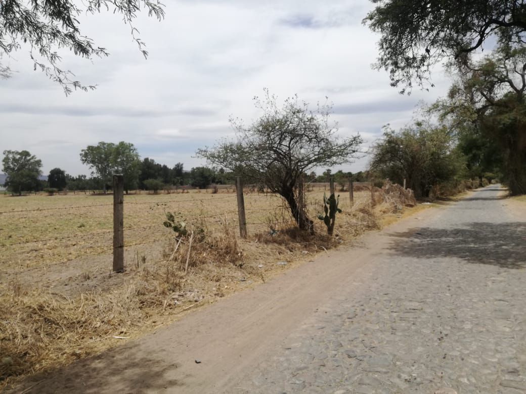 excelente terreno rumbo a las cuatas en camino huertas productivas - foto 2