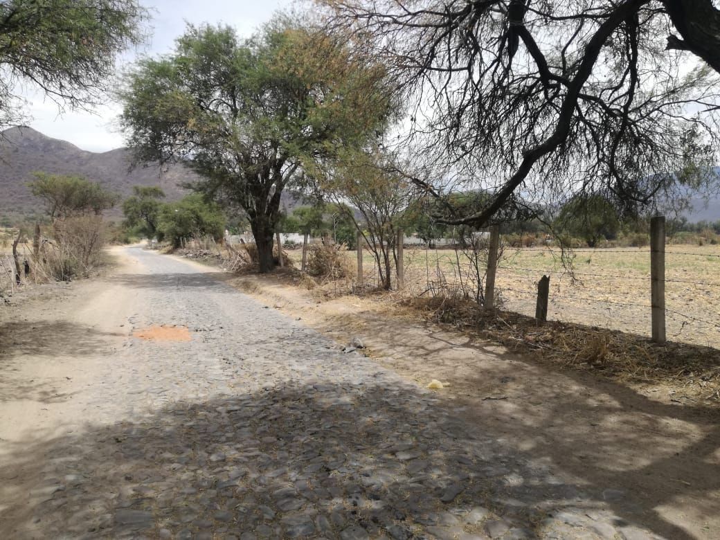 excelente terreno rumbo a las cuatas en camino huertas productivas - foto 3