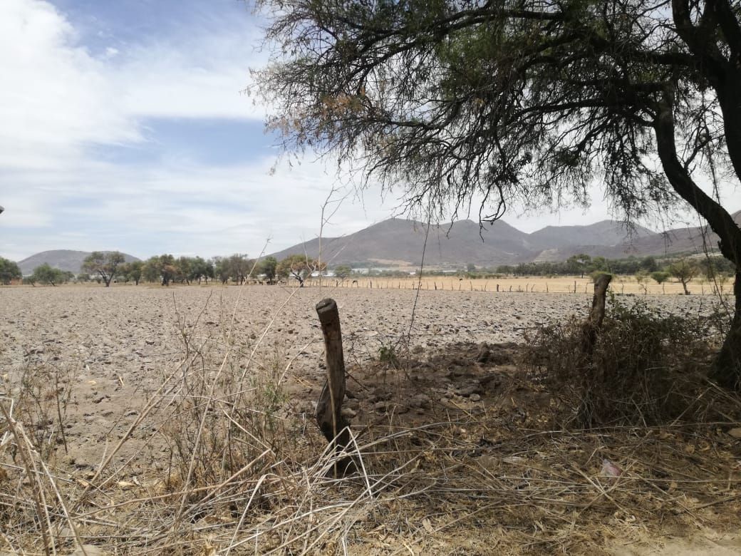 excelente terreno rumbo a las cuatas en camino huertas productivas - foto 4