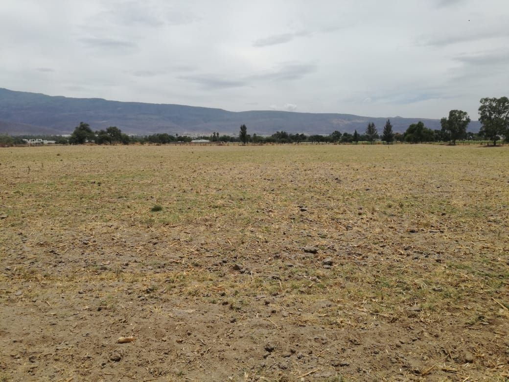 excelente terreno rumbo a las cuatas en camino huertas productivas - foto 5