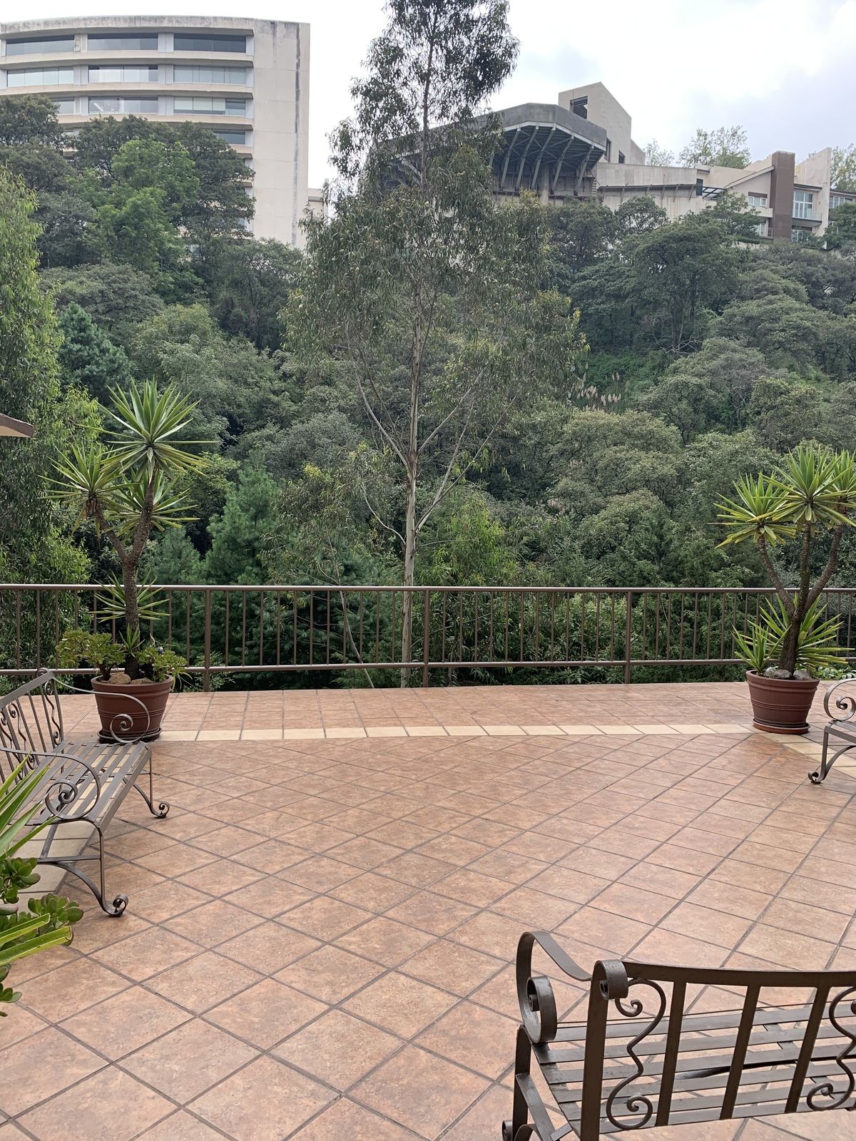 13 de 13