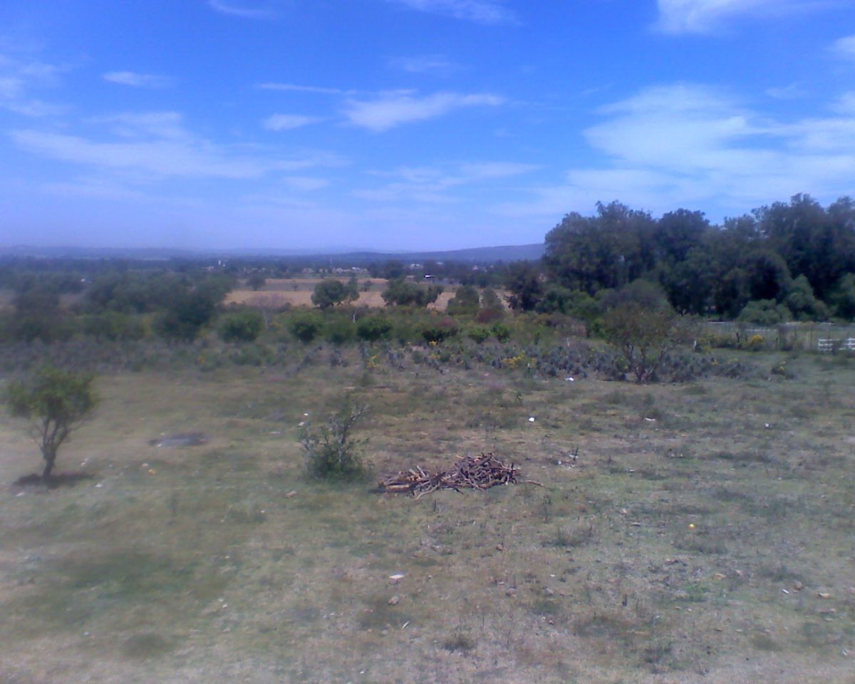 Imagen 7 de 10
