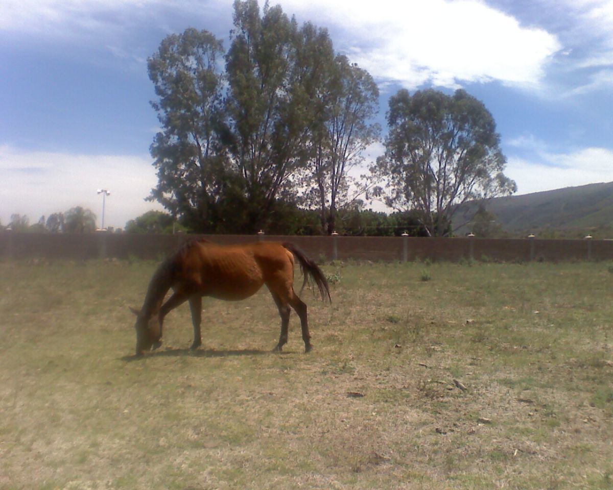 Imagen 8 de 10
