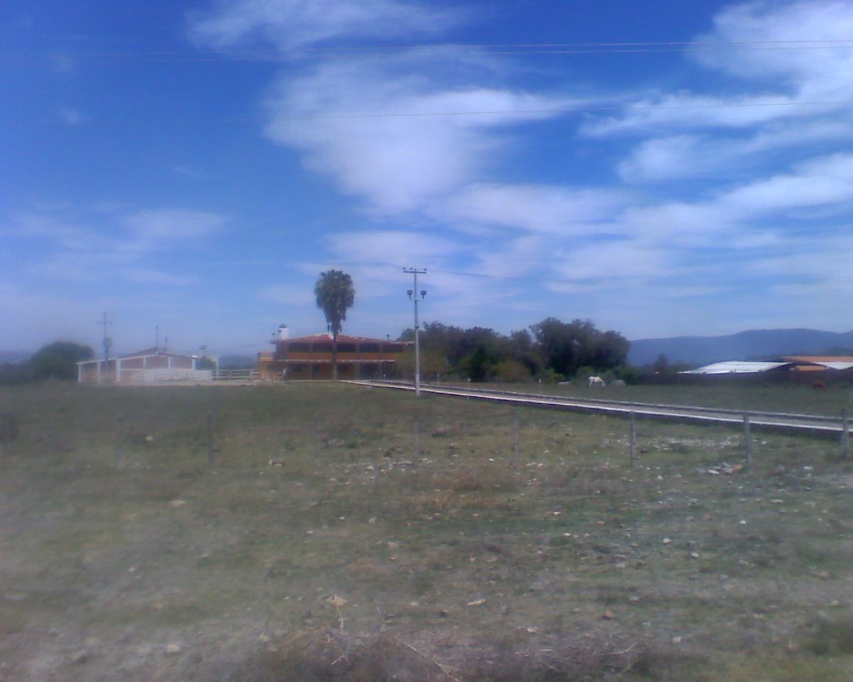 20 de 24