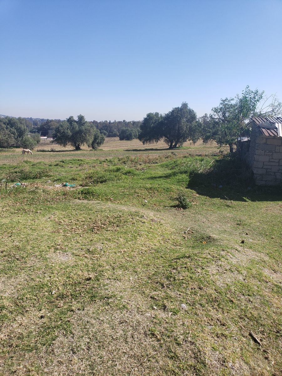 TERRENO COMERCIAL & HABITACIONAL - foto 1