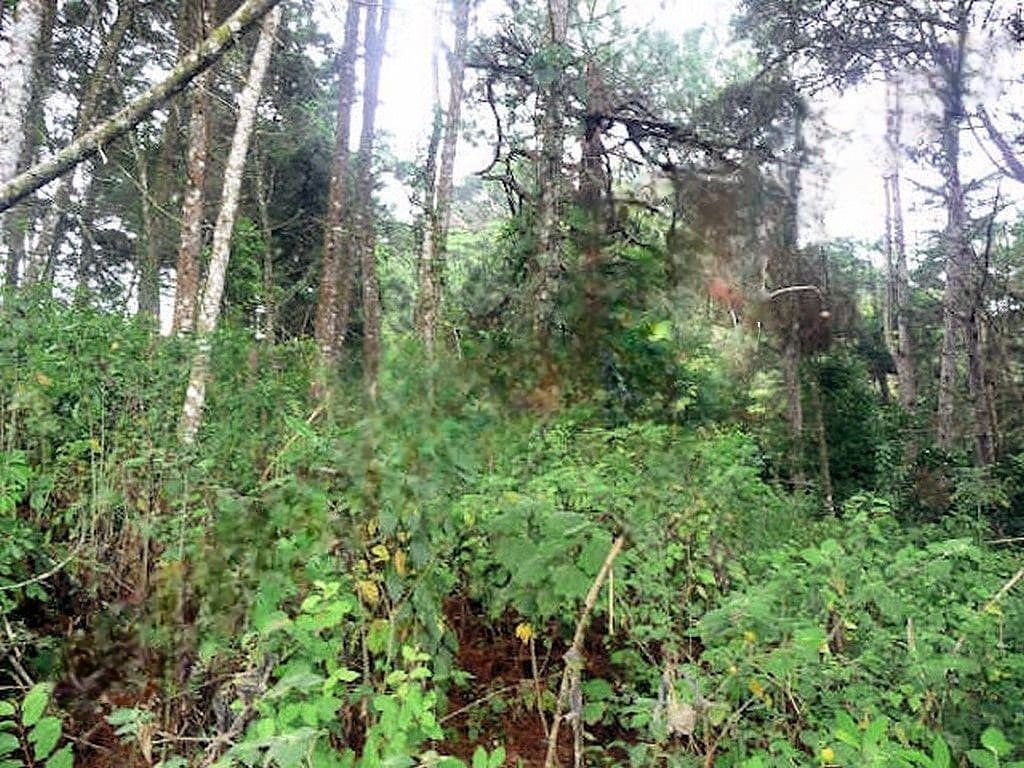 Terreno en Carretera a El Salvador, Guatemala, foto 3 de 11