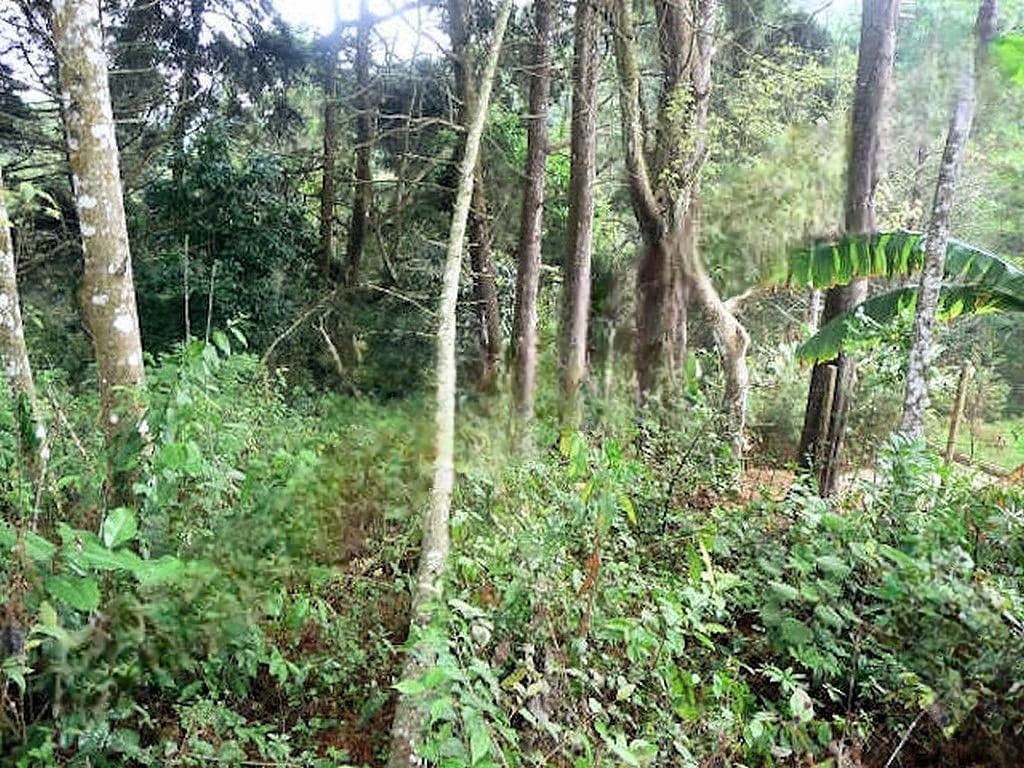 Terreno en Carretera a El Salvador, Guatemala, foto 5 de 11