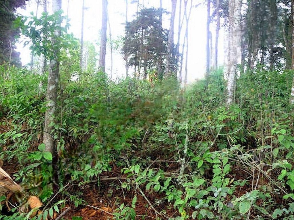 Terreno en Carretera a El Salvador, Guatemala, foto 6 de 11