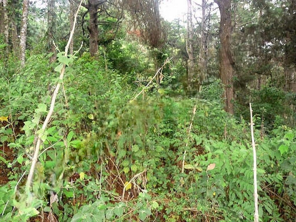 Terreno en Carretera a El Salvador, Guatemala, foto 9 de 11