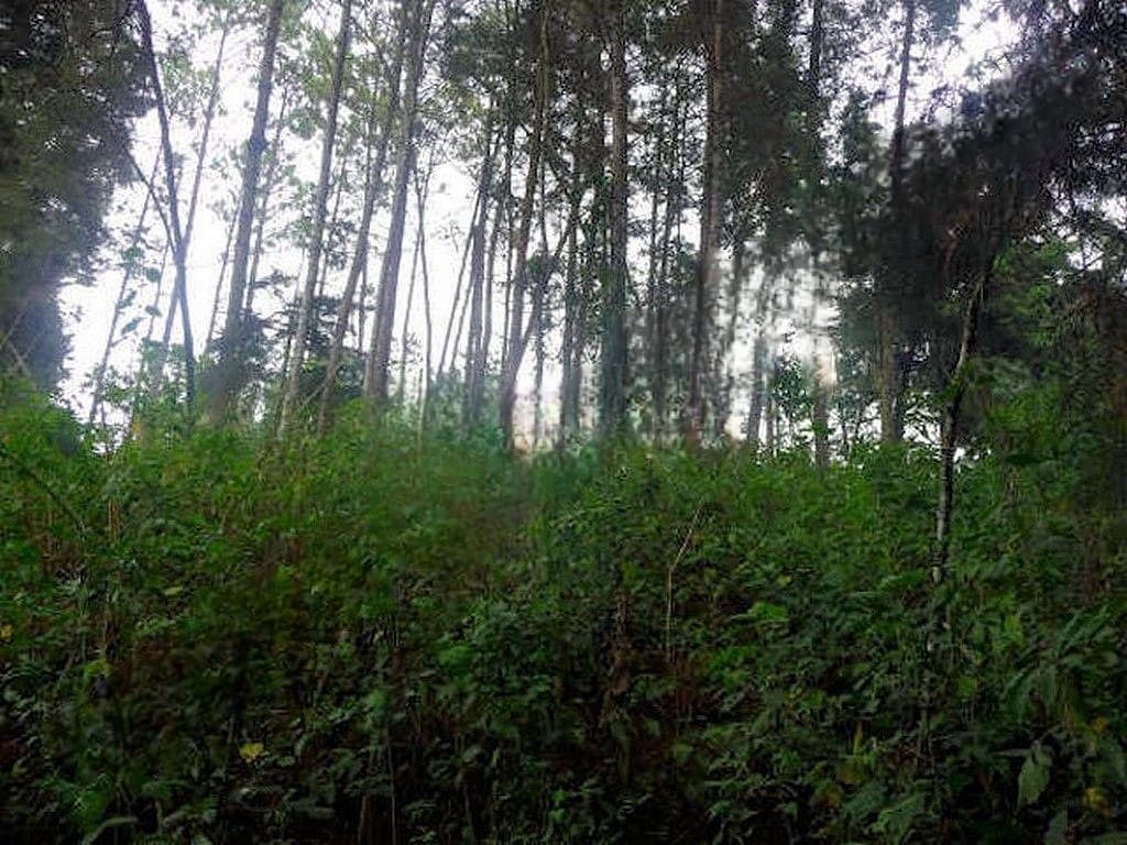 Terreno en Carretera a El Salvador, Guatemala, foto 10 de 11