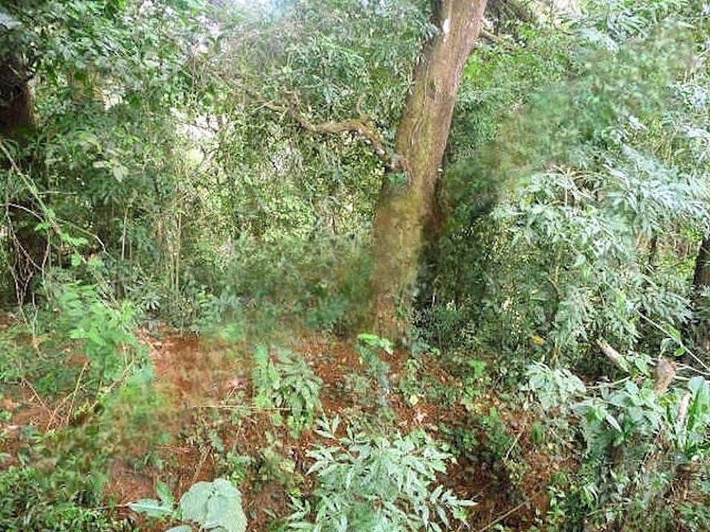 Terreno en Carretera a El Salvador, Guatemala, foto 11 de 11