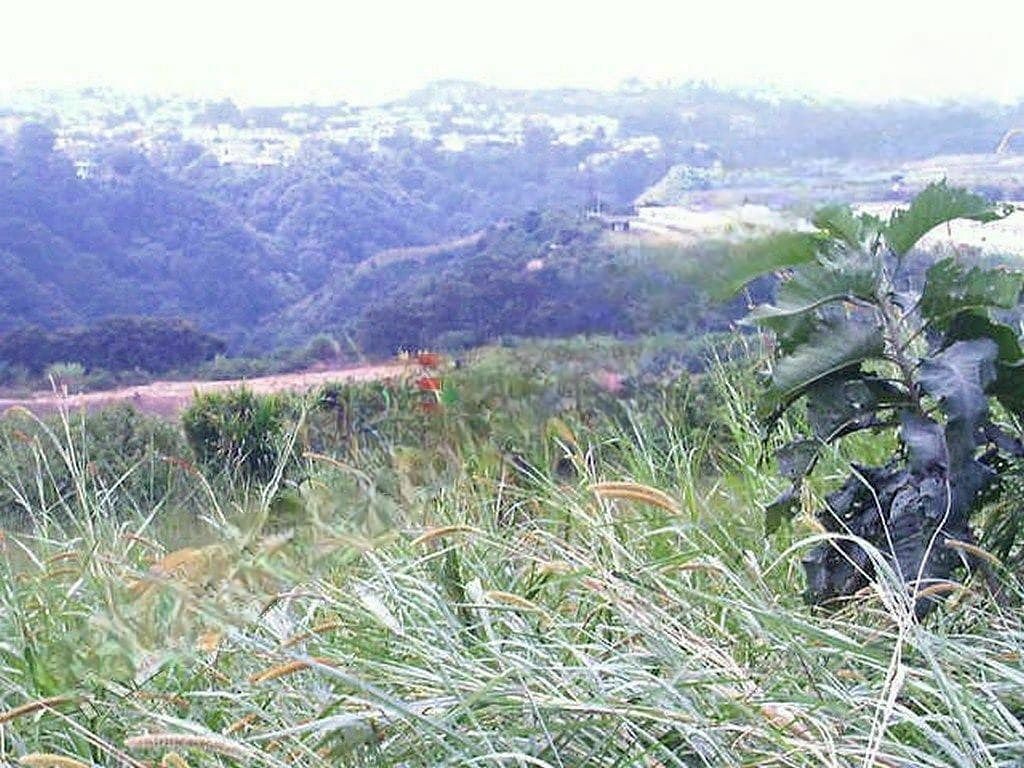 Terreno en Zona 18, Guatemala, foto 2 de 7