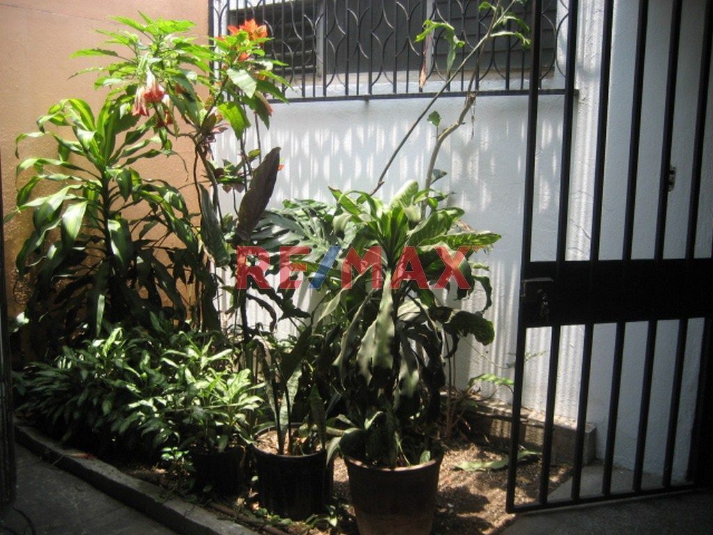 28 de 28
