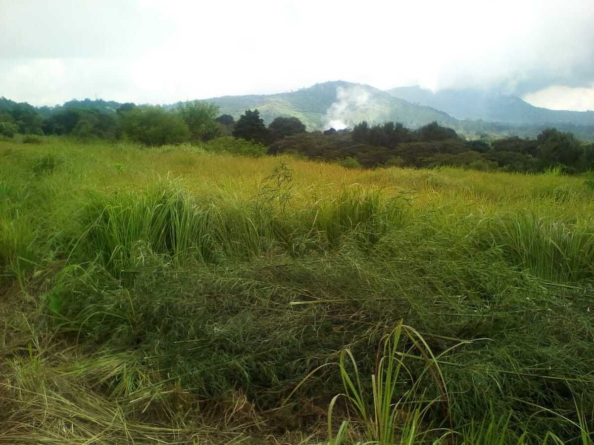 Terreno en Villa Canales, foto 4 de 4