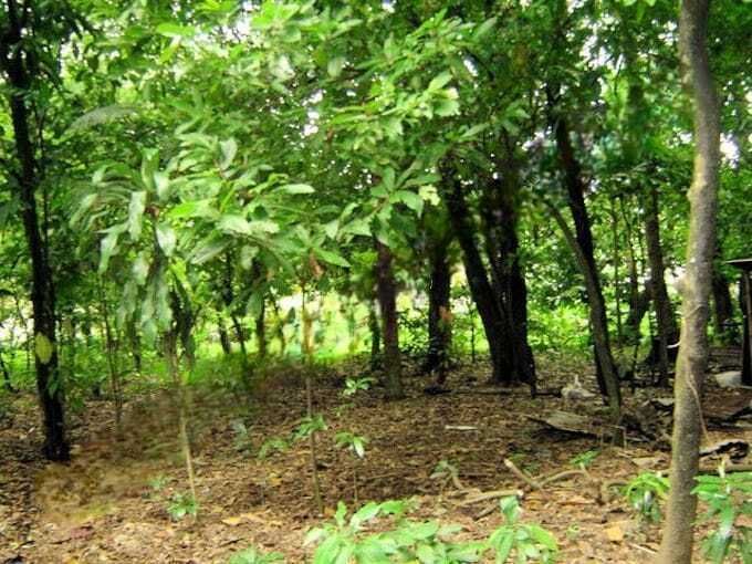 Terreno en Mazatenango, foto 4 de 8
