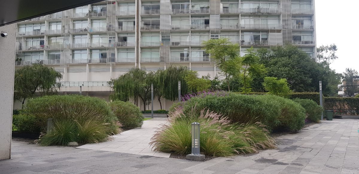 26 de 32: JARDINES - PARQUES POLANCO - VENTA - RENTA - CARMEN LABORIN