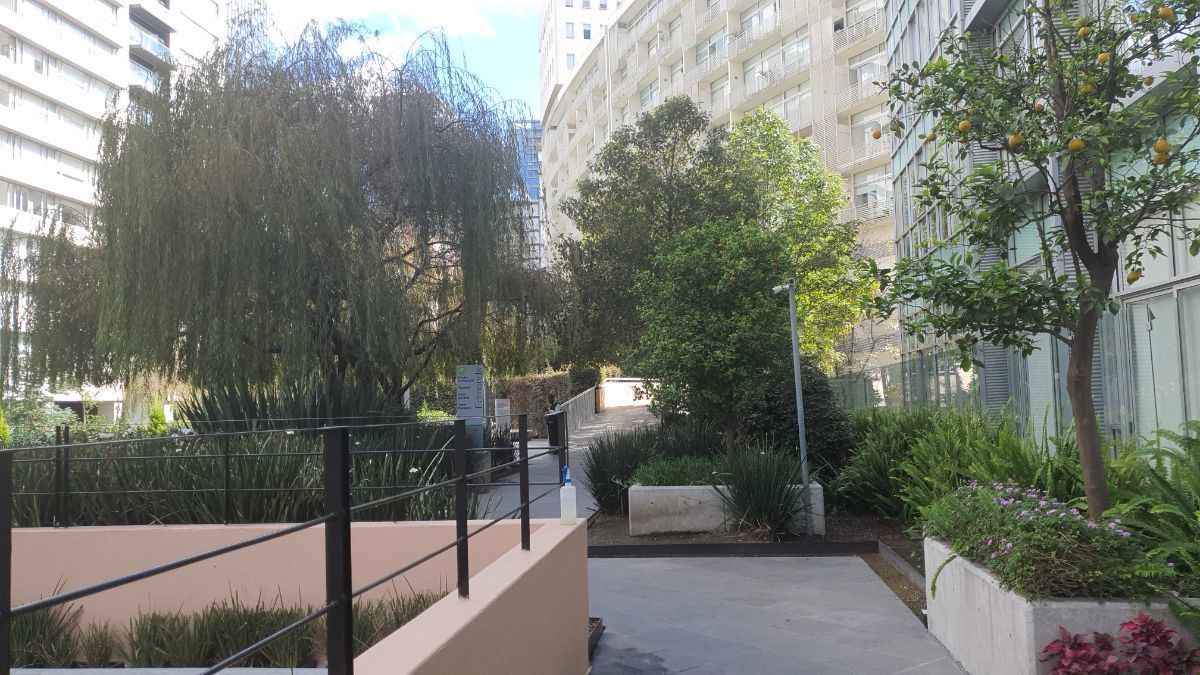 29 de 32: PARQUES POLANCO - VENTA - RENTA - CARMEN LABORIN