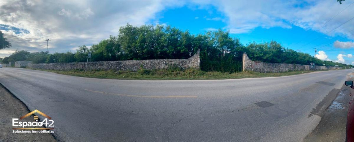 1 de 4