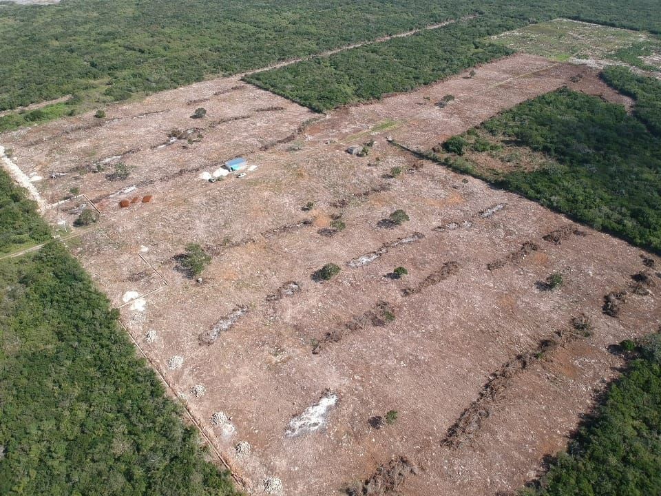 8 de 21: terreno en venta en merida yucatan