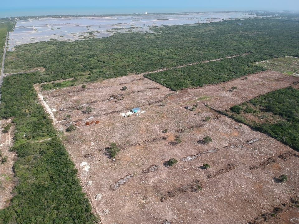 11 de 21: terreno en venta en merida yucatan