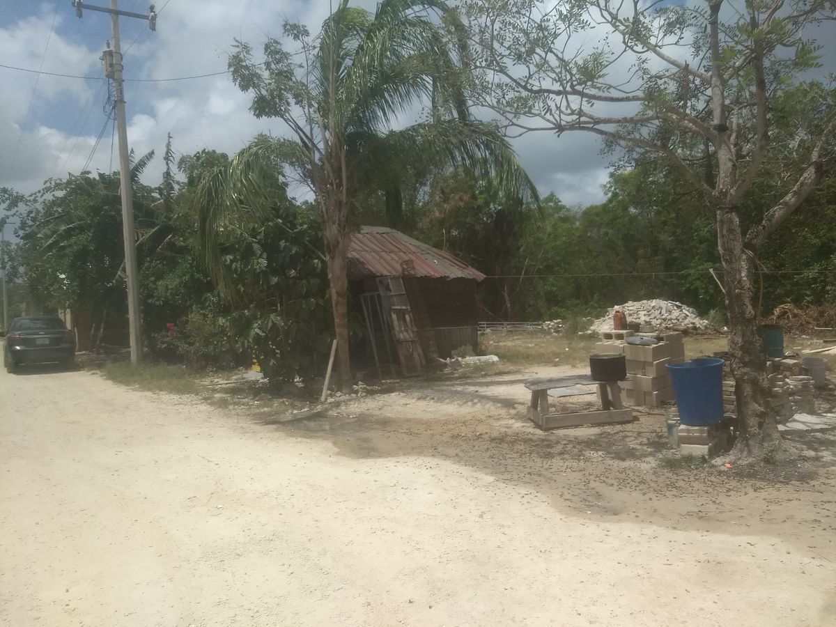 Imagen 2 de 8